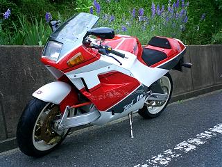 $B%U%k%+%&%k$bNI$70-$7!)(B